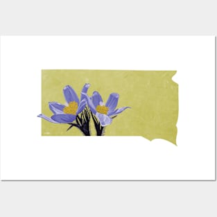 South Dakota American Pasque Flower Posters and Art